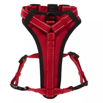 Product KONG® MAX Neoprene Padded Dog Harness