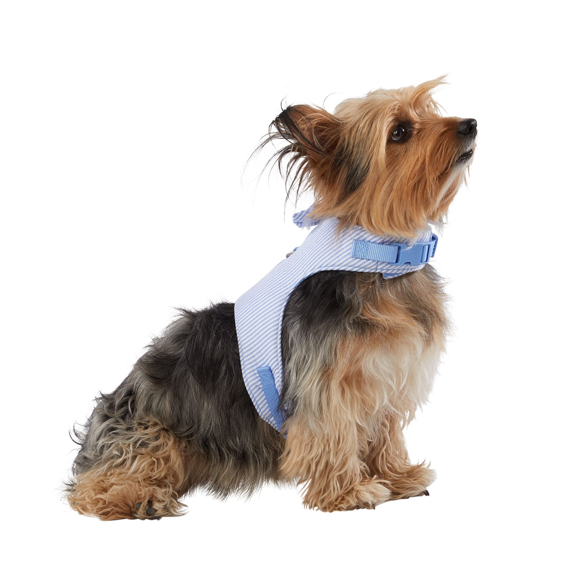 Top Paw® Blue Stripe Adjustable Vest Dog Harness