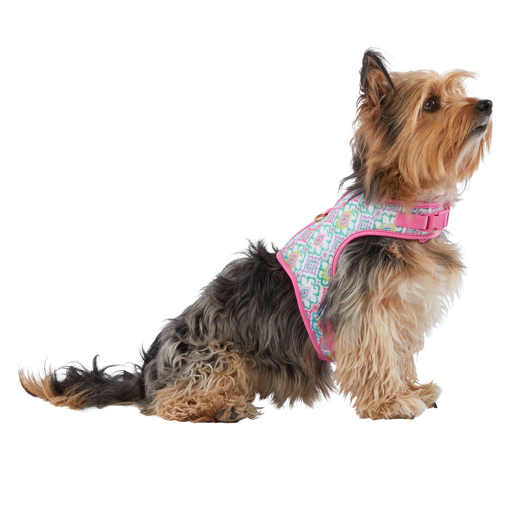 Top Paw® Green & Pink Floral Adjustable Vest Dog Harness