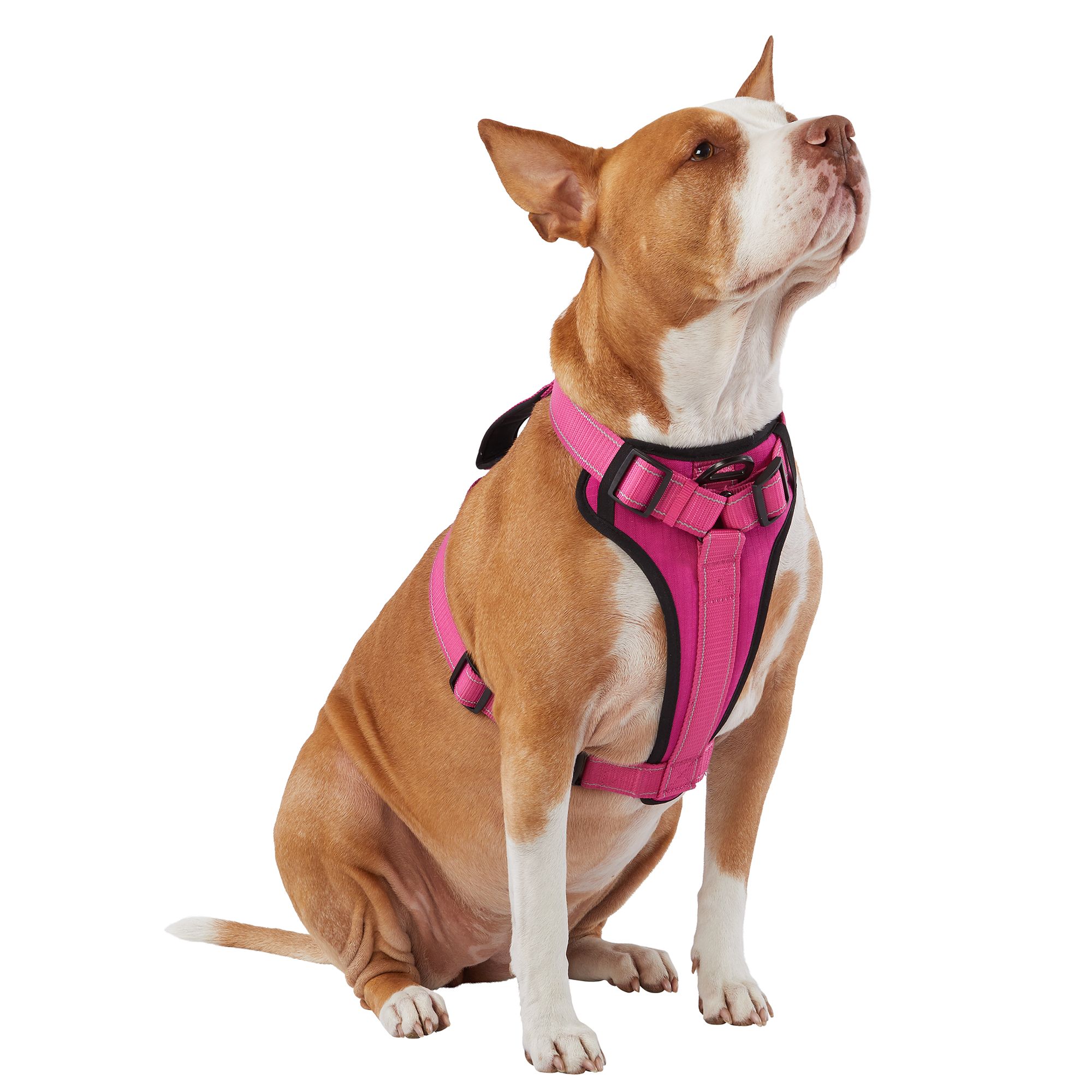 Kong Max Neoprene Padded Dog Harness in Pink Size Small PetSmart