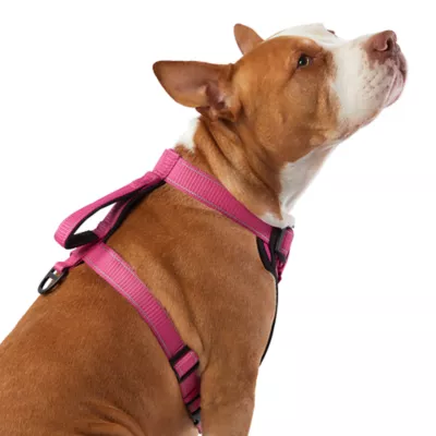 Product KONG® MAX Neoprene Padded Dog Harness