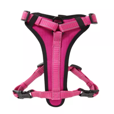 Product KONG® MAX Neoprene Padded Dog Harness