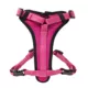Product KONG® MAX Neoprene Padded Dog Harness