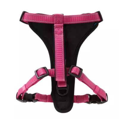 Product KONG® MAX Neoprene Padded Dog Harness