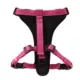 Product KONG® MAX Neoprene Padded Dog Harness