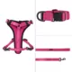 Product KONG® MAX Neoprene Padded Dog Harness
