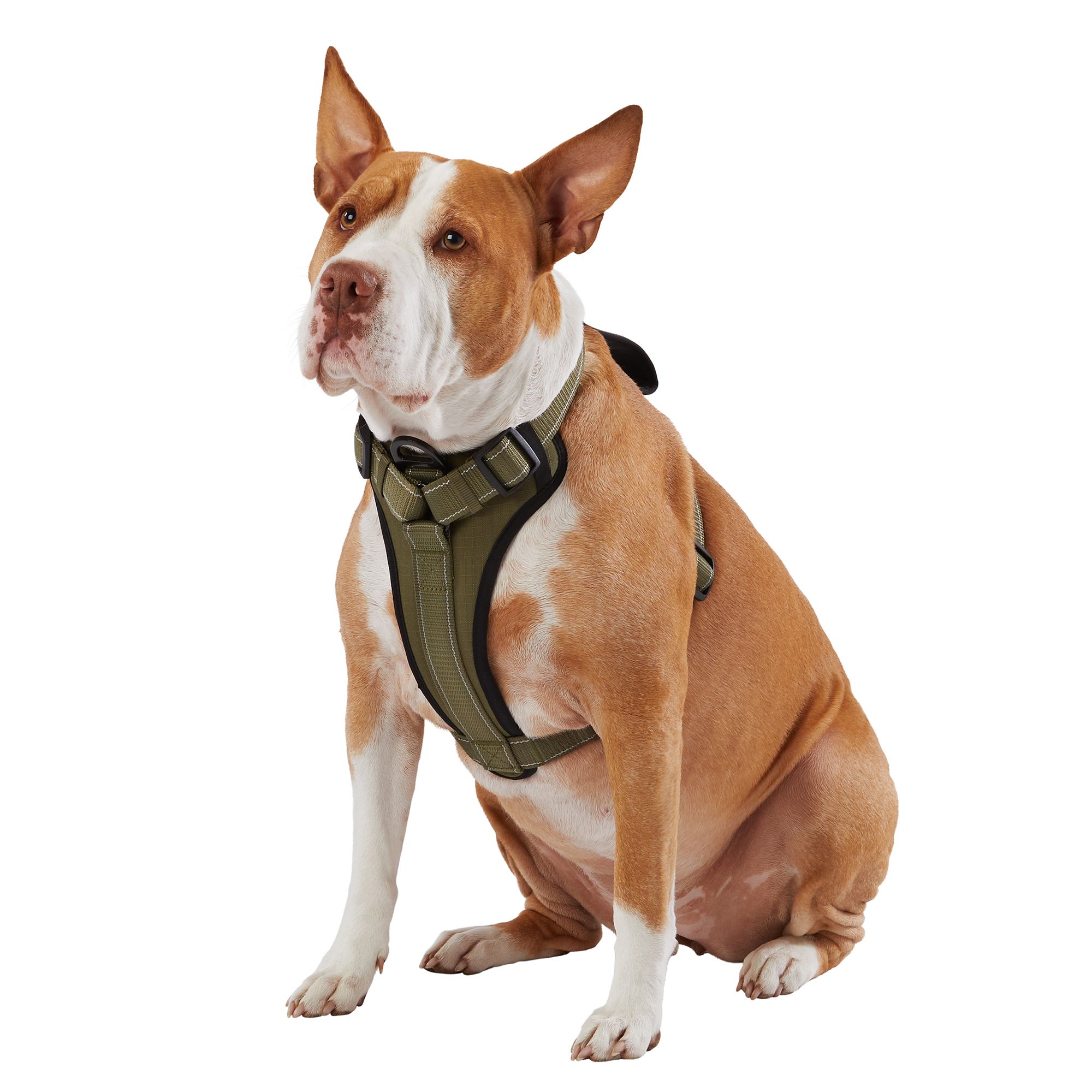 Dog Jerseys, Pet Carriers, Harness, Bandanas, Leashes