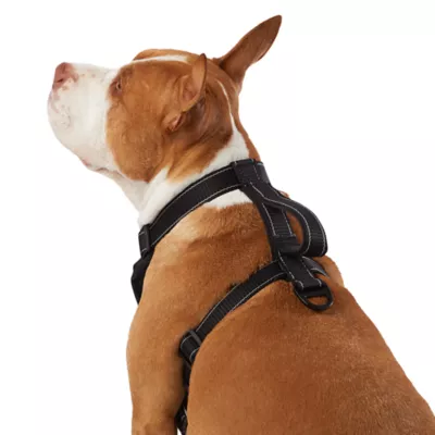 Product KONG® MAX Neoprene Padded Dog Harness