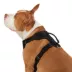 Top Paw® Neoprene Dog Harness, Adjustable, Durable, Comfortable, Multiple Sizes & Colors image thumbnail 1