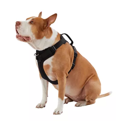 Product Top Paw® Neoprene Comfort Dog Harness