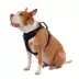 Top Paw® Neoprene Dog Harness, Adjustable, Durable, Comfortable, Multiple Sizes & Colors image thumbnail 2