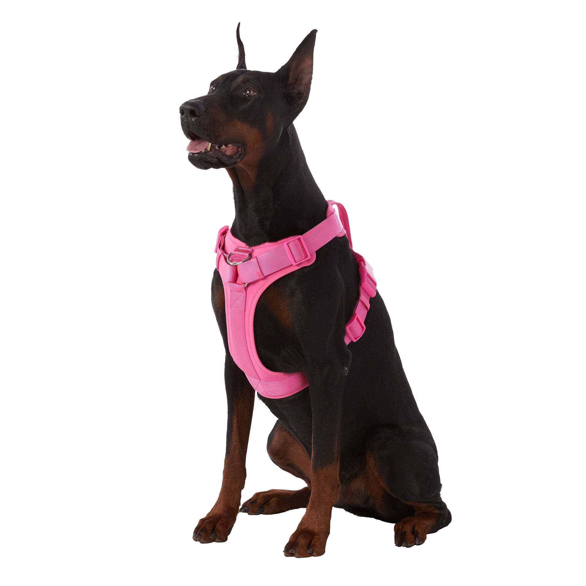 Top paw hotsell velcro harness