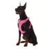 Top Paw® Neoprene Dog Harness, Adjustable, Durable, Comfortable, Multiple Sizes & Colors image thumbnail 1