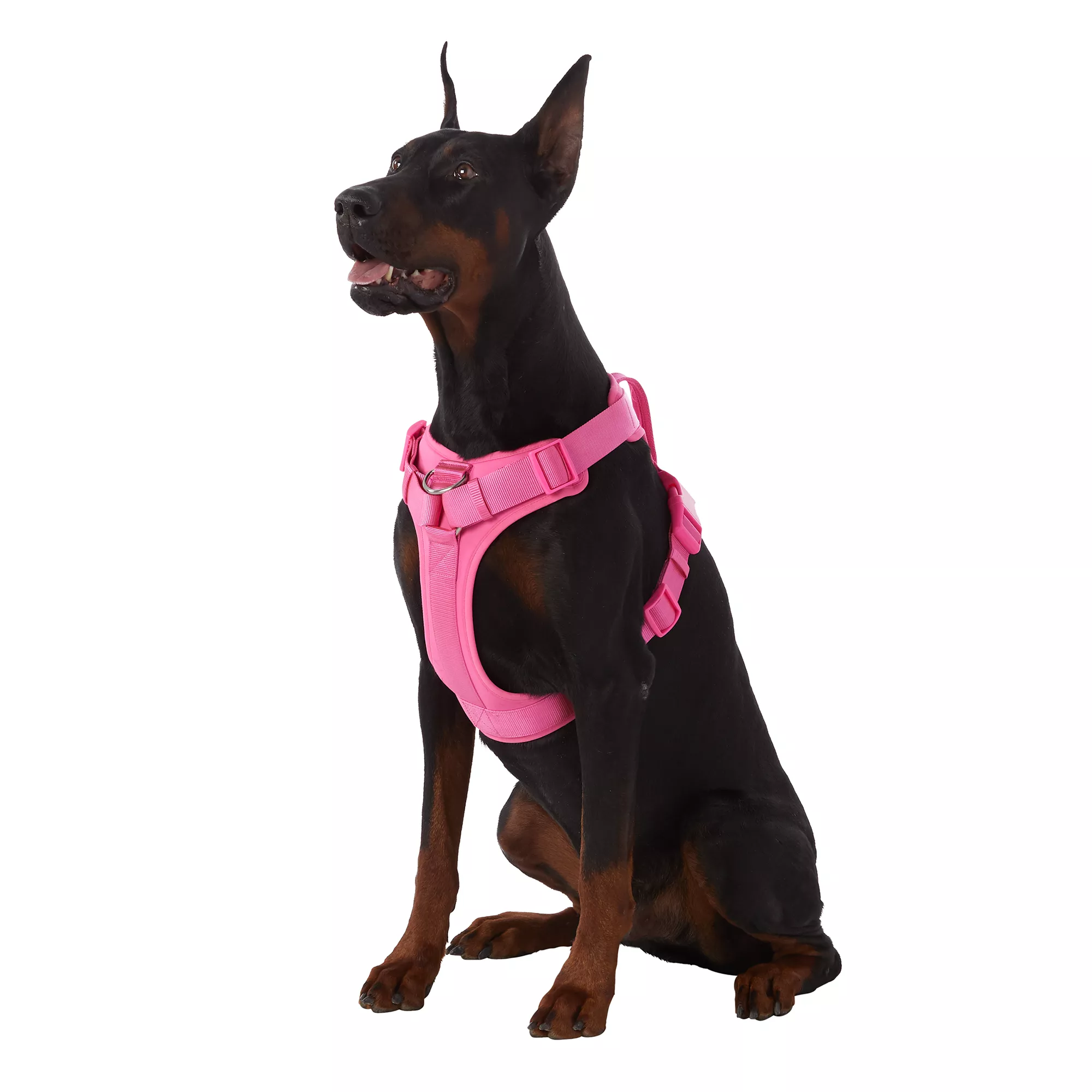 Top Paw® Neoprene Comfort Dog Harness