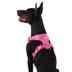 Top Paw® Neoprene Dog Harness, Adjustable, Durable, Comfortable, Multiple Sizes & Colors image thumbnail 2
