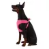 Top Paw® Mesh Comfort Dog Harness, Adjustable, Comfortable, Multiple Sizes, Multiple Colors image thumbnail 1