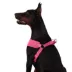 Top Paw® Mesh Comfort Dog Harness, Adjustable, Comfortable, Multiple Sizes, Multiple Colors image thumbnail 2