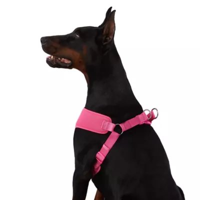 Petsmart comfort harness best sale