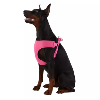 Top Paw® Mesh Comfort Dog Harness - Image 1