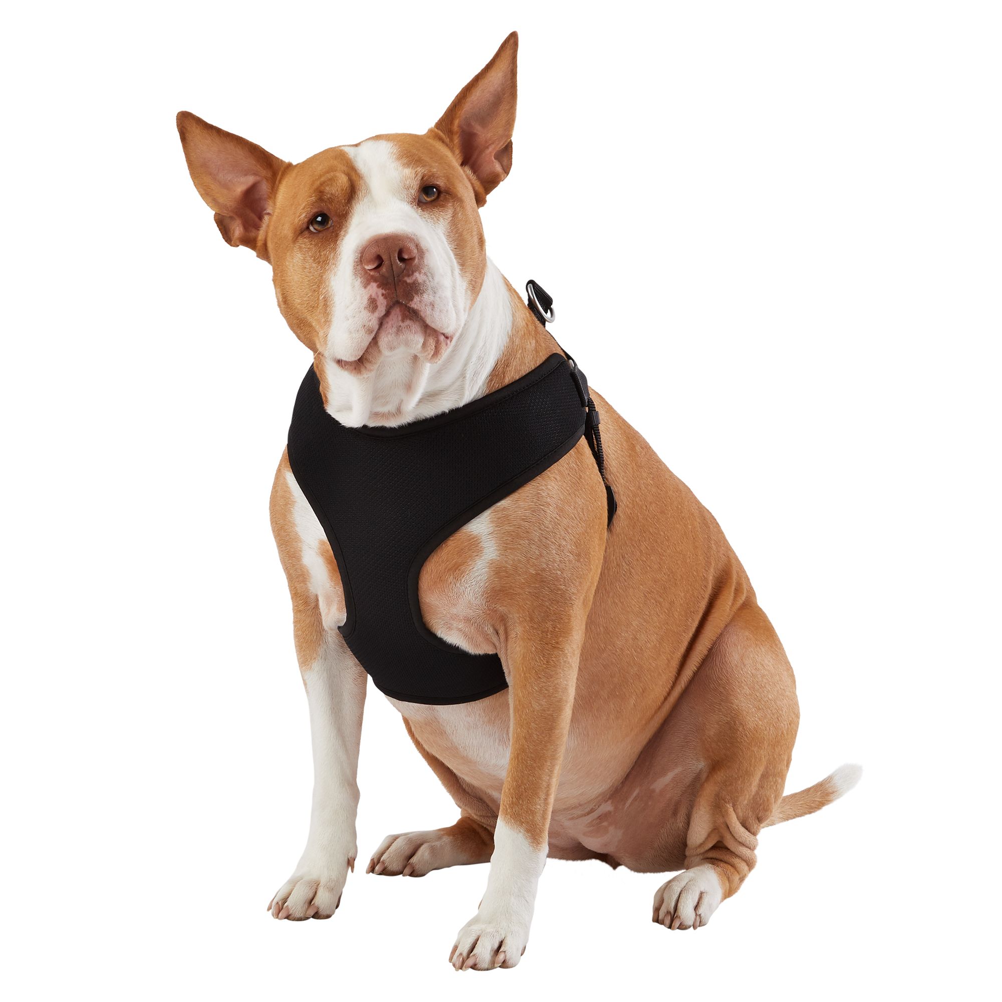 Top paw shop puppy harness