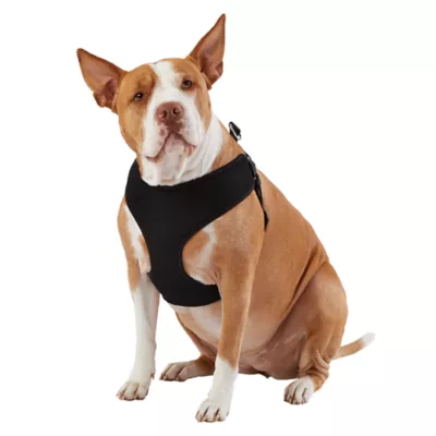 Top Paw® Mesh Comfort Dog Harness - Image 1