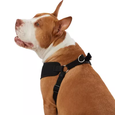 Product Top Paw® Mesh Comfort Dog Harness