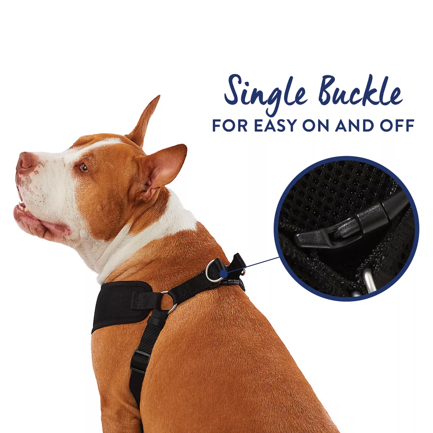 How to put on top paw harness best sale