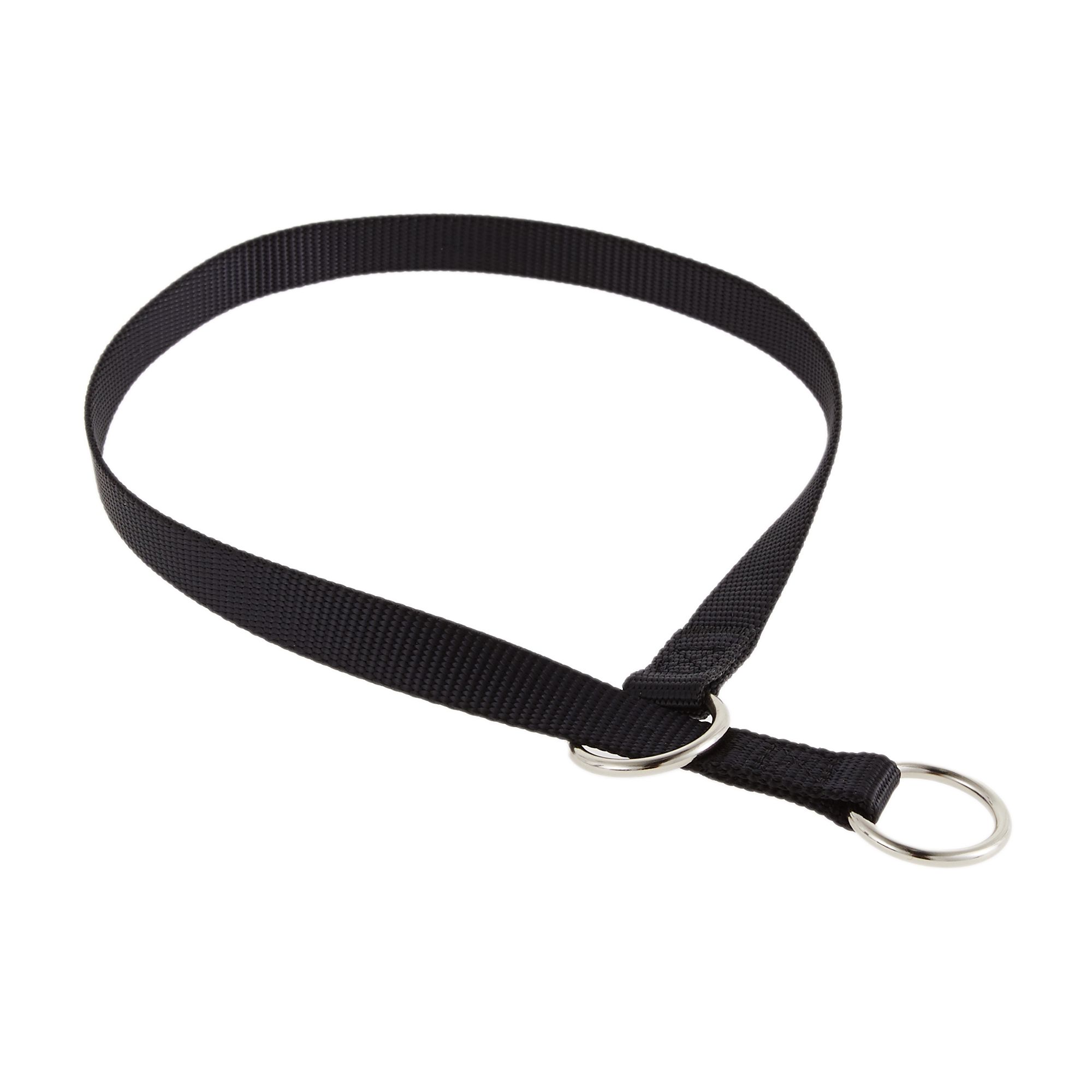 Petsmart choke collar hotsell