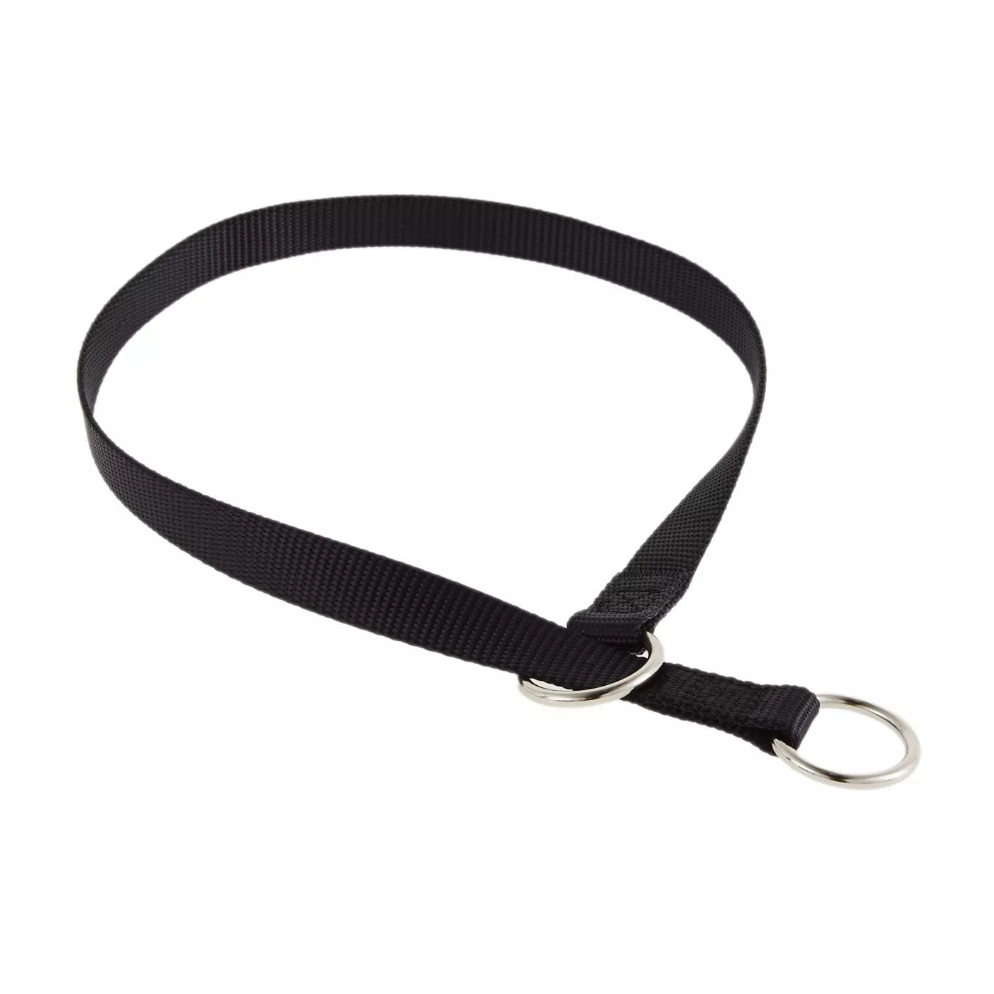 German prong collar petsmart hotsell