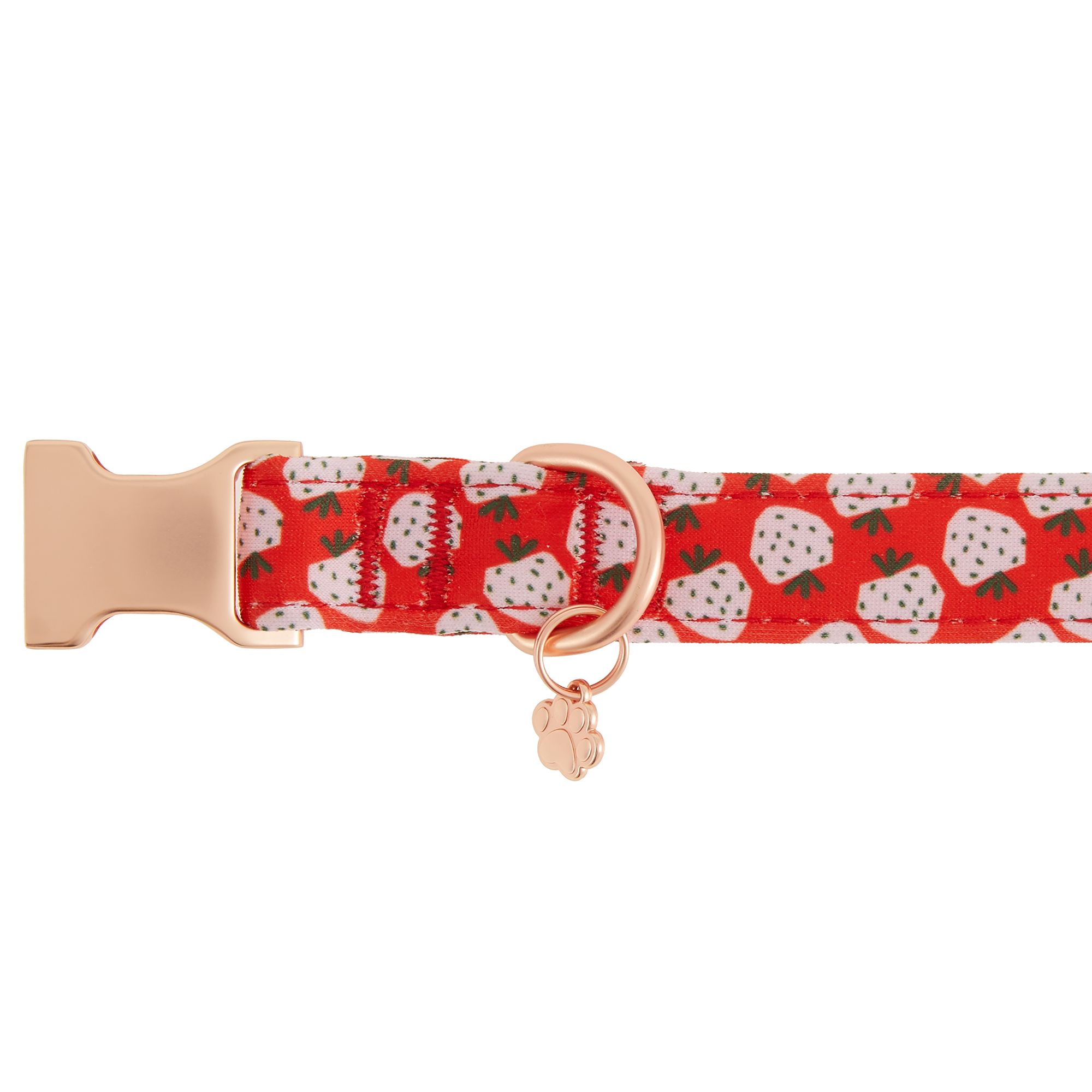 Top Paw® Strawberry Neoprene Adjustable Dog Collar