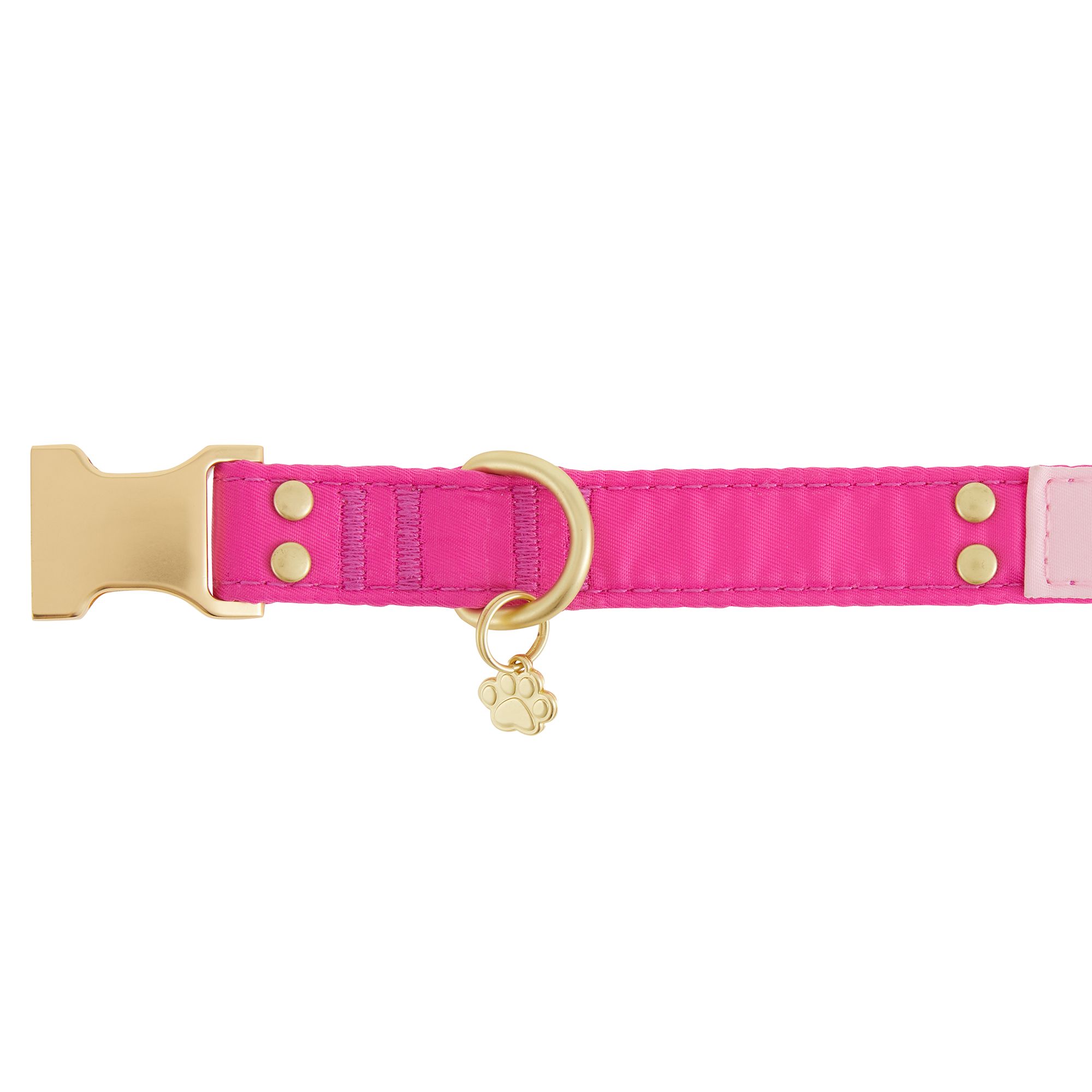 Top Paw® Two Tone Adjustable Dog Collar dog Collars PetSmart