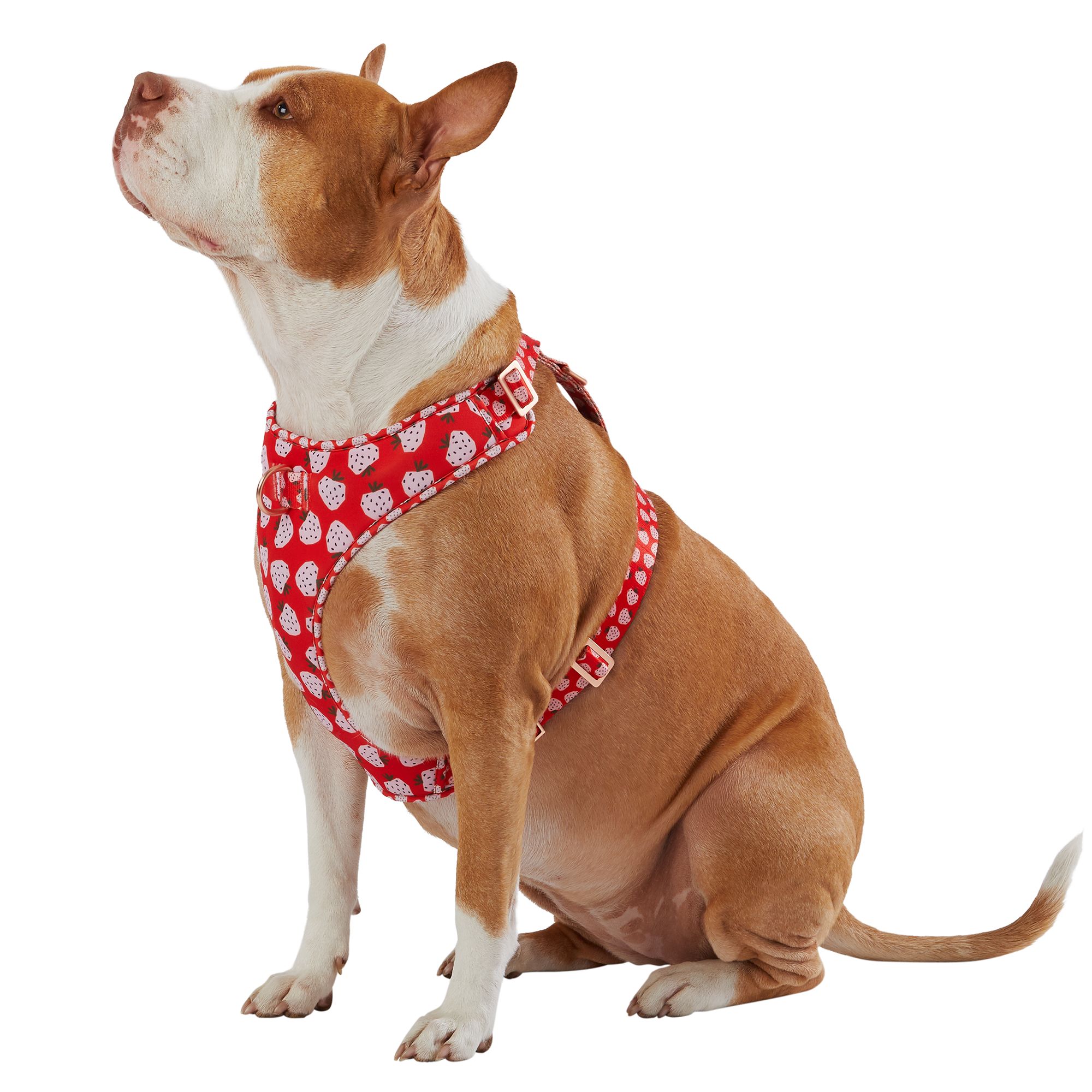 Top Paw Sporty Red Harness lktech.vn