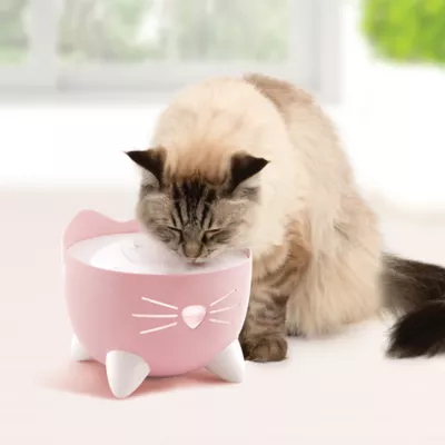 Product Catit® PIXI Cat Drinking Fountain