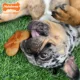 Product Nylabone® DuraChew® Power Chew Pretzel Dog Toy - Bacon & Peanut Butter Flavor