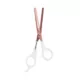 Product BaBylissPRO PET 6-inch Rose Gold Titanium Thinning Shears