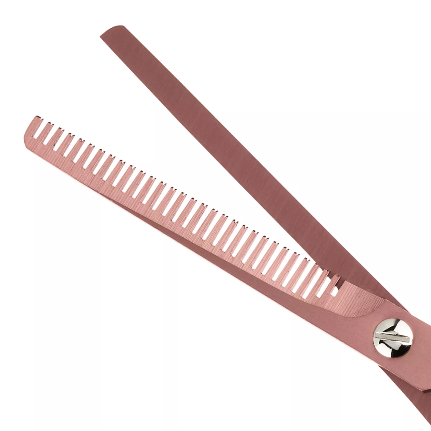 Dog grooming shears petsmart best sale