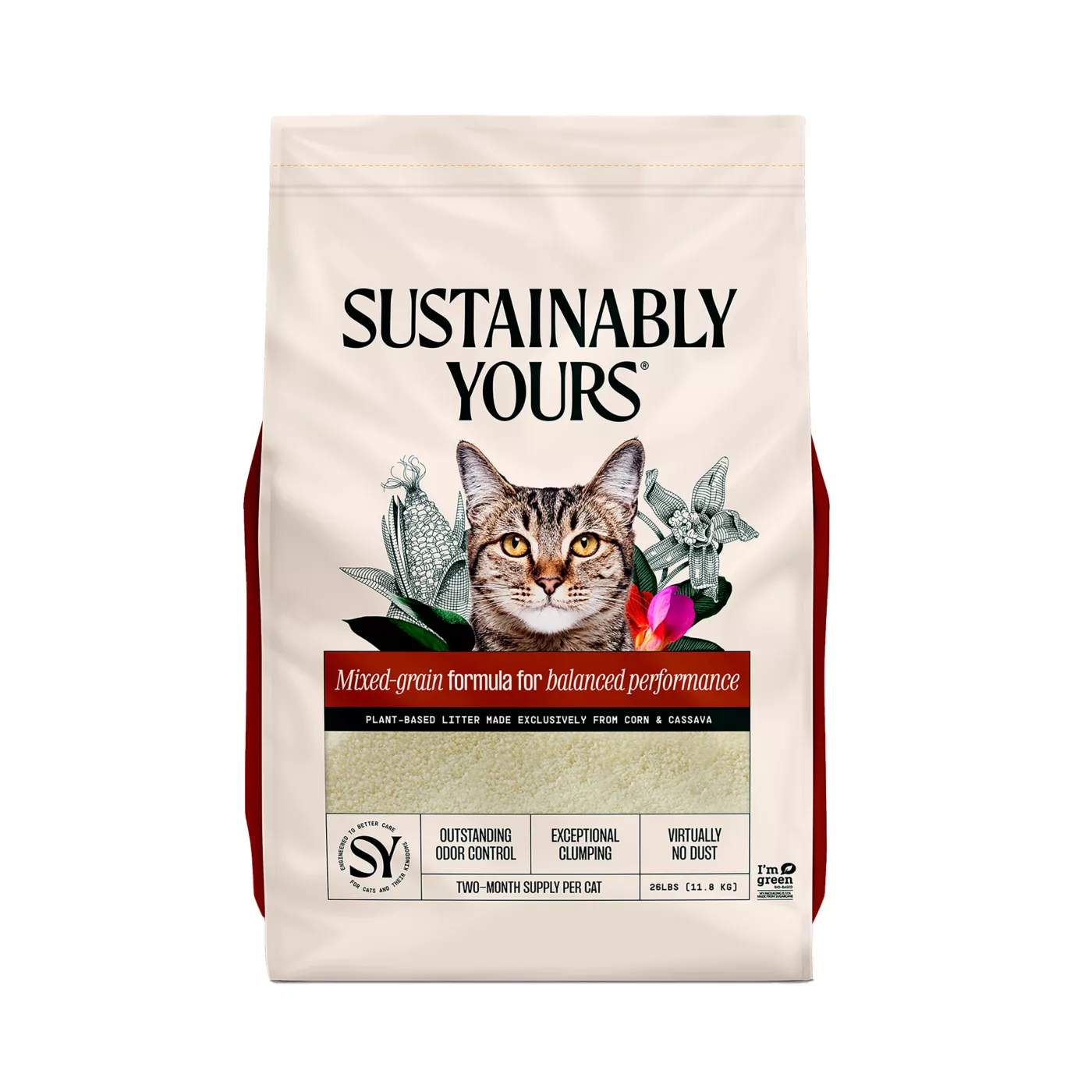 Best litter for diabetic cats hotsell