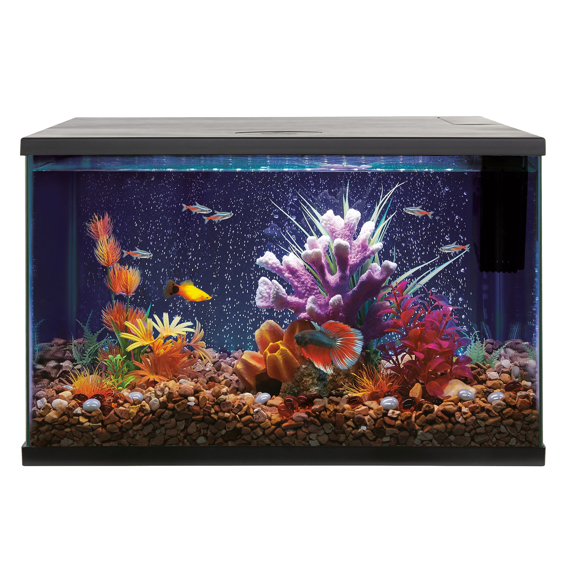 dennenboom optioneel van mening zijn Top Fin® LED Bubble Wall Aquarium Kit | fish Aquariums | PetSmart