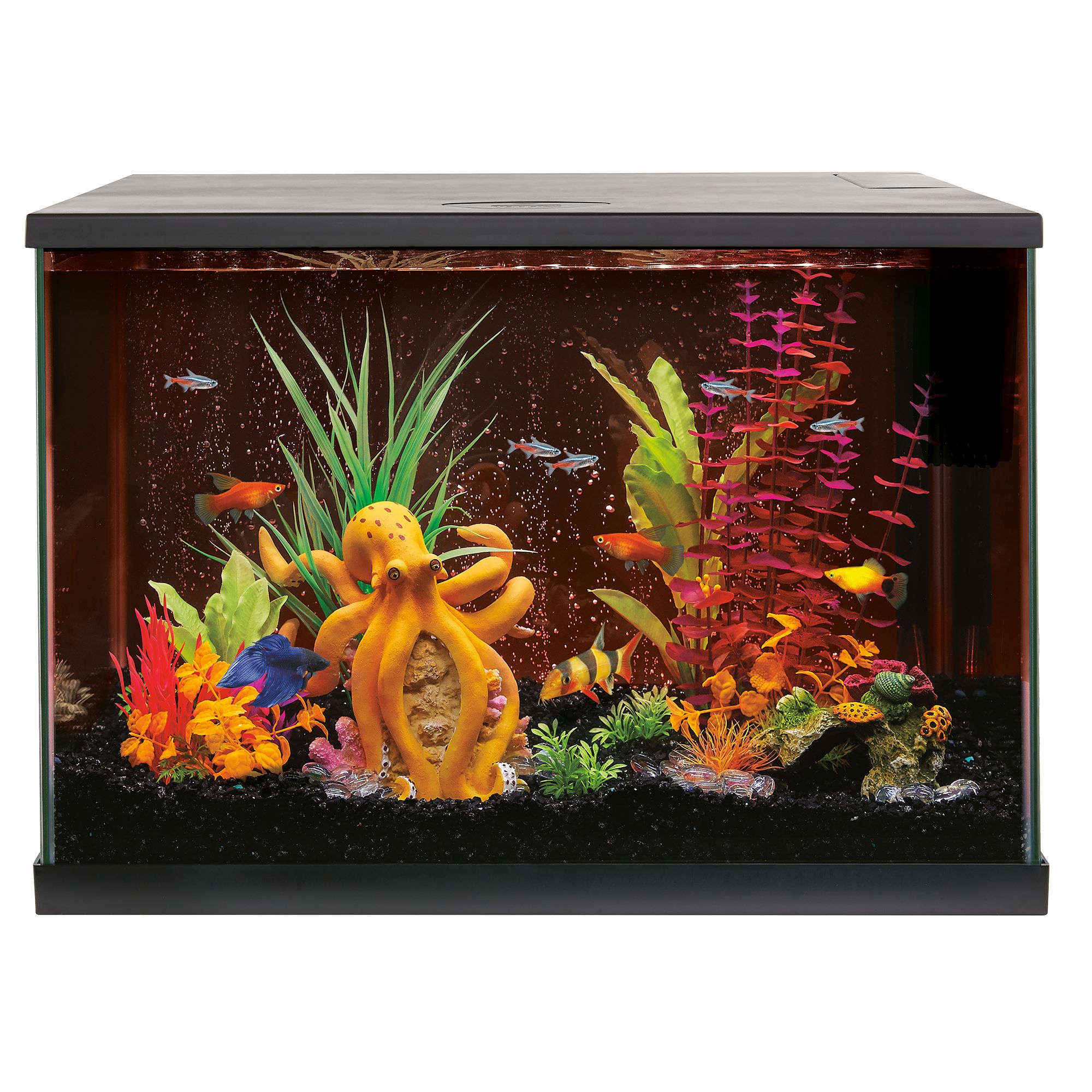 Thoughts on this tank/stand combo from petsmart? : r/Aquariums