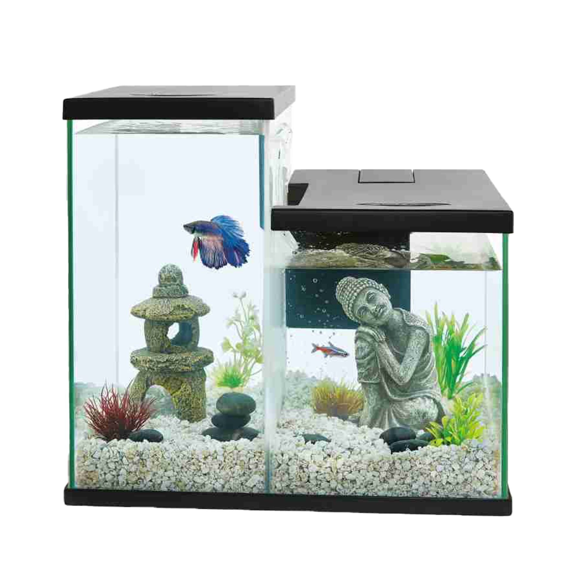 Petsmart 2 gallon outlet tank