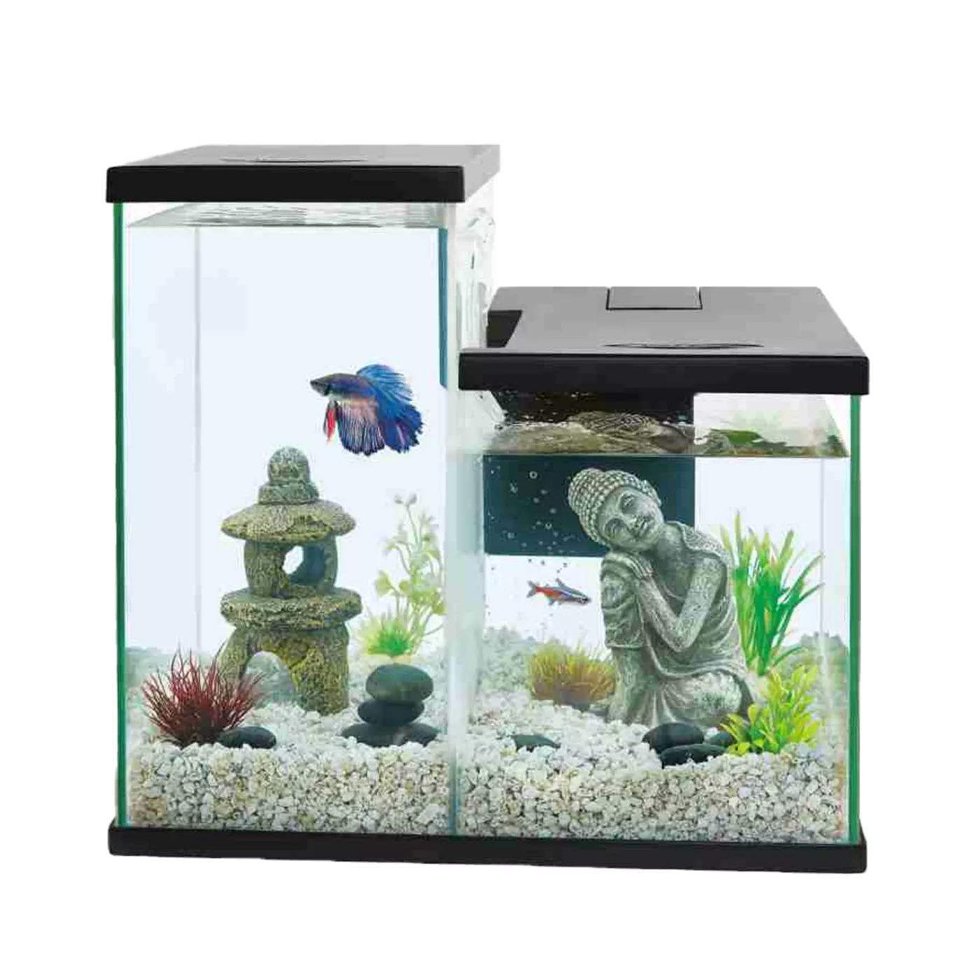 Best betta tank decorations sale