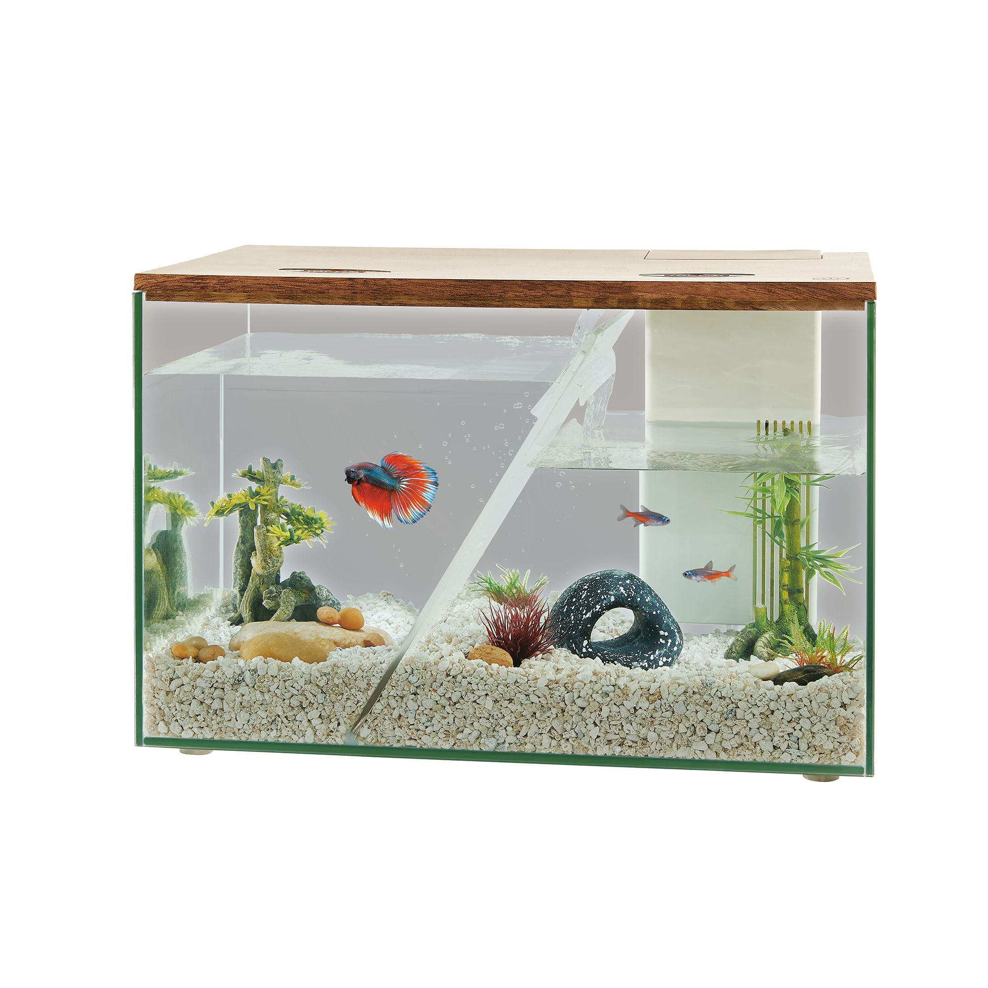 Best desktop aquarium sale