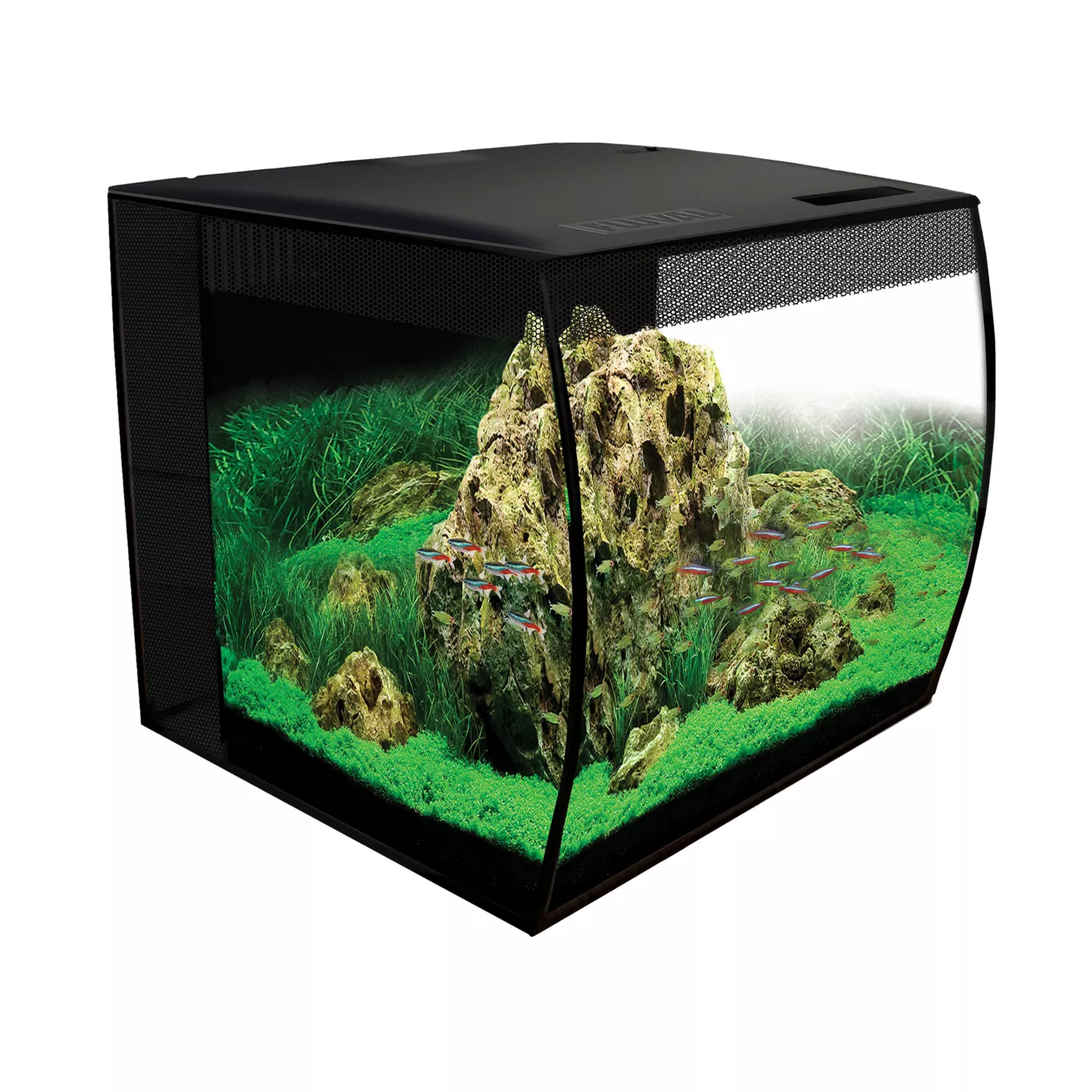 Freshwater aquarium kit best sale