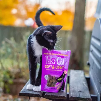 Product Tiki Cat Treat - Soft & Chewy, Chicken, 2 OZ