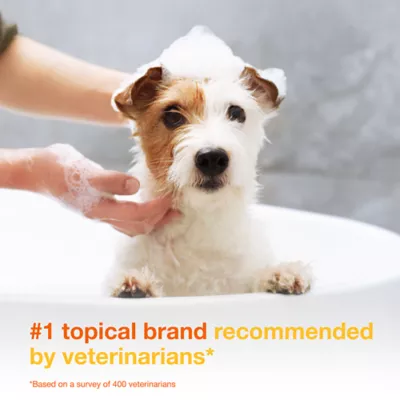 Douxo® S3 PYO Chlorhexidine Antiseptic Antifungal Dog Shampoo - 6.7 oz - Image 3