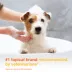 Douxo® S3 PYO Chlorhexidine Antiseptic Antifungal Dog Shampoo - 6.7 oz image thumbnail 3