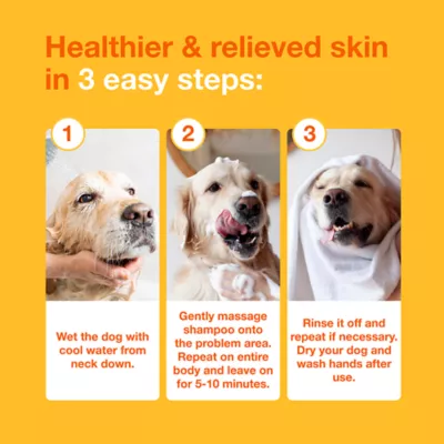 Douxo® S3 PYO Chlorhexidine Antiseptic Antifungal Dog Shampoo - 6.7 oz - Image 6