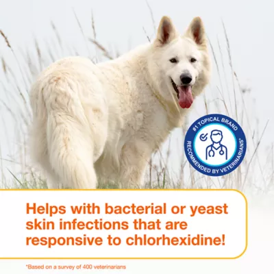 Douxo® S3 PYO Chlorhexidine Antiseptic Antifungal Dog Shampoo - 6.7 oz - Image 7