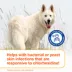 Douxo® S3 PYO Chlorhexidine Antiseptic Antifungal Dog Shampoo - 6.7 oz image thumbnail 7