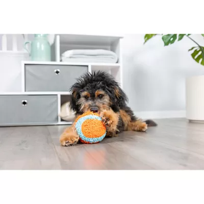 Product Chuckit!® Indoor Ball Dog Toy